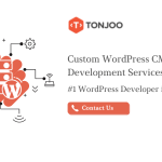 WordPress Experts In Indonesia Who Get Things Done